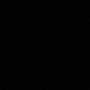 Meet your Posher, Mya